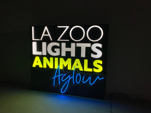 Neon Lights Neon Signs Neon Name Sign LED Signs for Business Coolest Customs